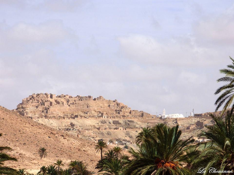 לינה וארוחת בוקר Shanīnī Kenza מראה חיצוני תמונה
